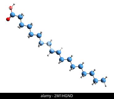 3D image de la formule squelettique de l'acide adique - structure chimique moléculaire de l'acide gras oméga-9 isolé sur fond blanc Banque D'Images