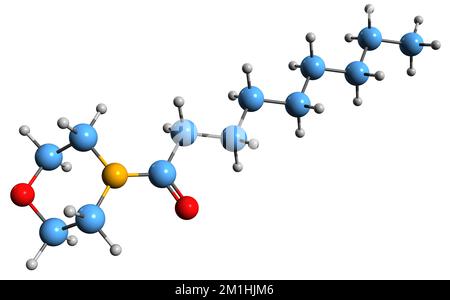 3D image de la formule squelettique de la 4-Nonanoylmorpholine - structure chimique moléculaire de l'acide 4-Morpholinenonylique isolé sur fond blanc Banque D'Images