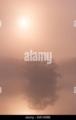 Le soleil du matin brille à travers le brouillard au-dessus du lac Banque D'Images