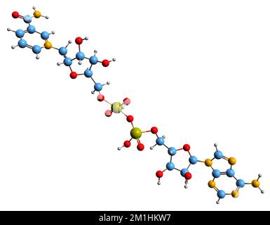 3D image de la formule squelettique de Nicotinamide adénine dinucléotide - structure chimique moléculaire de la coenzyme I isolée sur fond blanc Banque D'Images