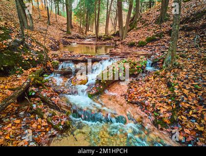 Petite crique de rivière avec cascades dans la belle forêt d'automne couverte de feuilles d'orange Banque D'Images