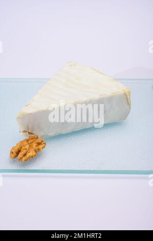 Collection de fromages, fromage français brie de Meaux de la région Seine-et-Marne avec moule blanc en gros plan Banque D'Images