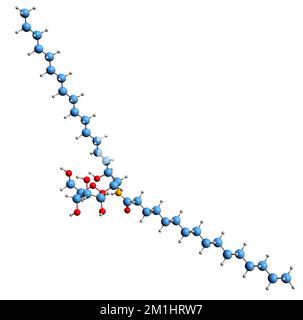 3D image de la formule squelettique palmitoyl-glucocérébroside - structure chimique moléculaire du cérébroside isolé sur fond blanc Banque D'Images