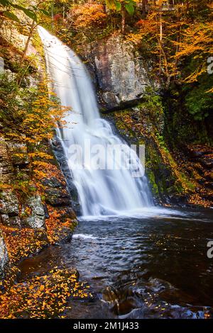 Forêt falaises rocheuses couvertes de feuilles dorées par une grande cascade floue qui fait rage Banque D'Images