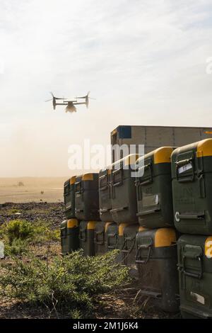 A ÉTATS-UNIS Corps maritime MV-22 Osprey avec 3rd Marine Aircraft Wing, part après avoir livré des missiles Stinger à Marines avec 3rd Low altitude Air Defense Battalion, Marine Air Control Group 38, 3rd Marine Aircraft Wing, pendant Steel Knight 23, 3 décembre 2022 à l'île San Clemente. L'exercice Steel Knight 23 offre à 3rd MAW l'occasion d'affiner les combats de guerre au niveau de l'aile à l'appui de la FEM I et de la manœuvre de la flotte. (É.-U. Photo du corps marin par le Cpl Joshua Brittenham) Banque D'Images