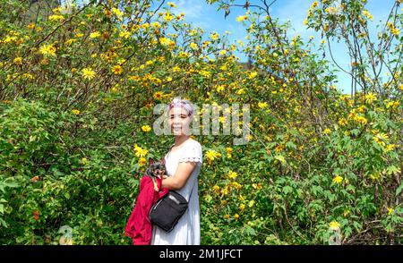 Chu Dang Ya commune, Chu PAH district, province de Gia Lai, Vietnam - 7 novembre 2022 : belle touriste féminine au milieu de milliers de fleurs sauvages Banque D'Images