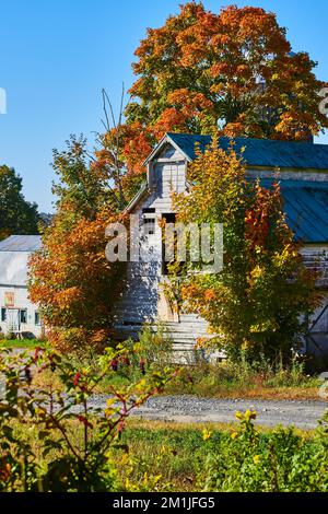 La vieille grange s'est délacée dans le pays avec une route de gravier et entourée d'arbres d'automne à feuilles d'orange Banque D'Images