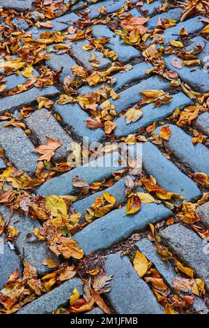 Détail du motif de brique sur le sol avec feuilles d'automne couvrant Banque D'Images