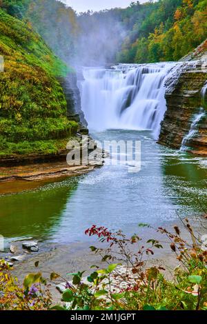 Superbe grande chute d'eau sculptée dans des gorges rocheuses avec des forêts vertes et des fleurs de champ en premier plan Banque D'Images