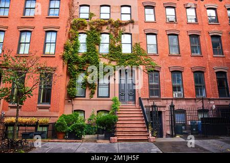 Vue à l'extérieur magnifique immeuble d'appartements avec des briques rouges et des vignes vertes dans Greenwich Village New York City Banque D'Images