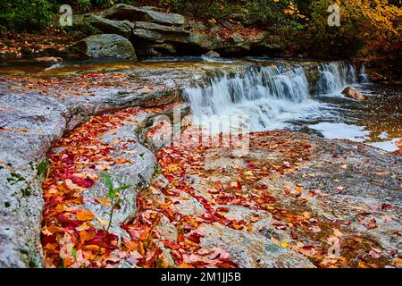 Les feuilles d'automne couvrent des couches de roches par une petite cascade dans la rivière Banque D'Images