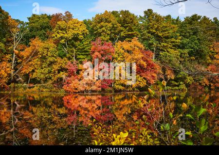 Surface du lac reflétant le feuillage de la forêt d'automne Banque D'Images