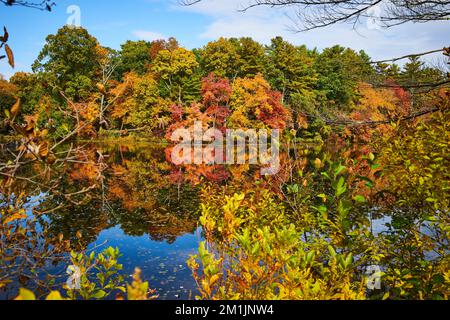 Forêt d'automne à New York avec lac reflétant les arbres Banque D'Images