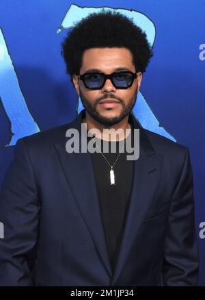 Hollywood, Californie, États-Unis 12th décembre 2022 chanteur/musicien The Weeknd aka Abel Makkonen Tesfaye participe à 20th Century Studio 'Avatar 2: The Way of Water' U.S. Première au Dolby Theatre on 12 décembre 2022 à Hollywood, Californie, États-Unis. Photo de Barry King/Alay Live News Banque D'Images