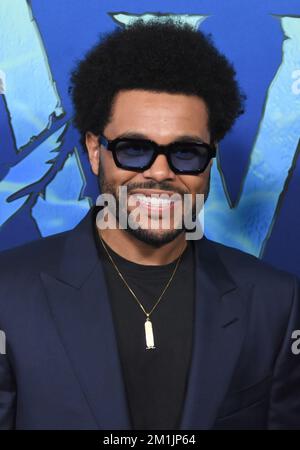 Hollywood, Californie, États-Unis 12th décembre 2022 chanteur/musicien The Weeknd aka Abel Makkonen Tesfaye participe à 20th Century Studio 'Avatar 2: The Way of Water' U.S. Première au Dolby Theatre on 12 décembre 2022 à Hollywood, Californie, États-Unis. Photo de Barry King/Alay Live News Banque D'Images