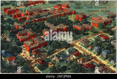 Vue aérienne, Université d'État de Floride, Tallahassee, Floride , universités et collèges, Tichnor Brothers Collection, cartes postales des États-Unis Banque D'Images