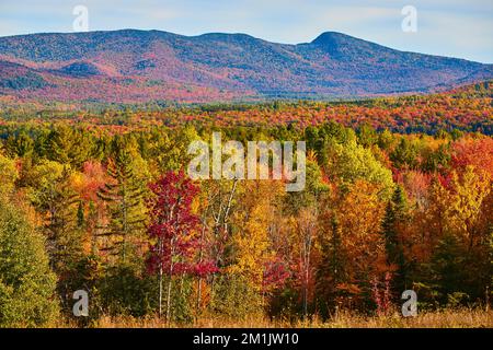 Magnifiques collines d'automne sans fin à New York avec rangée colorée en face Banque D'Images