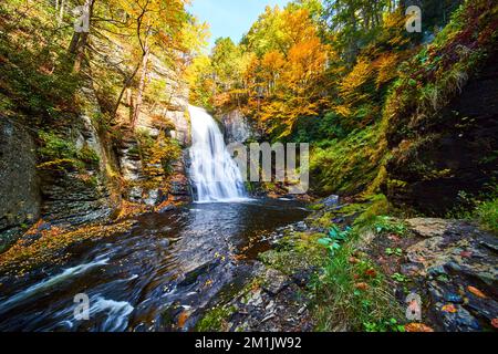 Les feuilles d'automne doré couvrent les rives de la rivière avec des falaises et une grande chute d'eau dans la forêt de pic d'automne Banque D'Images