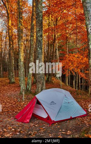 Tente de camping rouge et blanche MSR installée dans la forêt à la fin de l'automne avec des feuilles d'orange Banque D'Images
