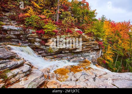 Pic d'automne forêt et rivière avec cascades et couches de rochers Banque D'Images