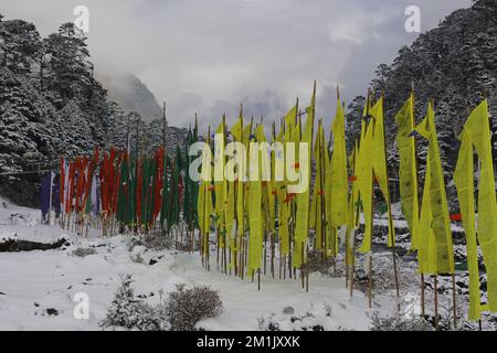 vallée de yumthang enneigée et drapeaux de prière bouddhistes en hiver, la vallée pittoresque est située dans le nord de sikkim, entourée par l'himalaya en inde Banque D'Images