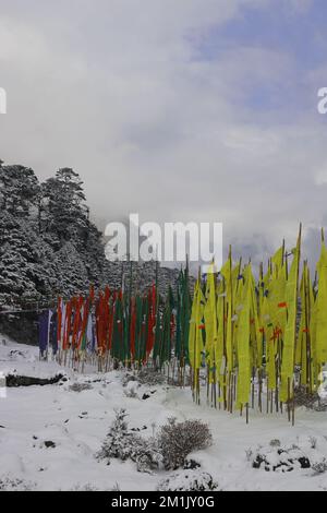 vallée de yumthang enneigée et drapeaux de prière bouddhistes en hiver, la vallée pittoresque est située dans le nord de sikkim, entourée par l'himalaya en inde Banque D'Images