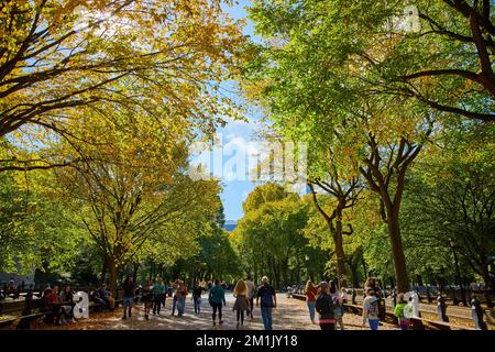 Emblématique Central Park, passerelle du centre commercial de New York au début de l'automne Banque D'Images