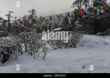 vallée de yumthang enneigée et drapeaux de prière bouddhistes en hiver, la vallée pittoresque est située dans le nord de sikkim, entourée par l'himalaya en inde Banque D'Images