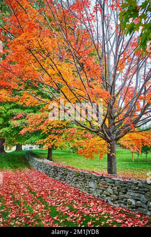 Des tas de feuilles rouges tombent sur le sol, près d'un mur de pierre et d'un arbre aux feuilles orange vibrantes Banque D'Images