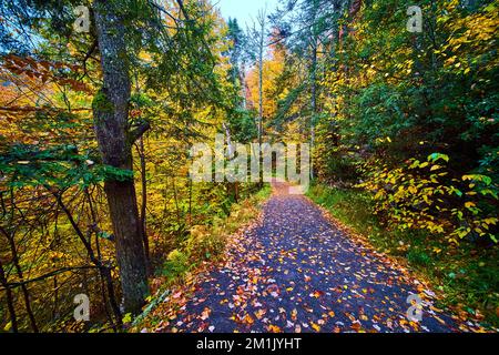 Sentier de randonnée d'automne dans le parc de New York couvert de feuillage coloré Banque D'Images