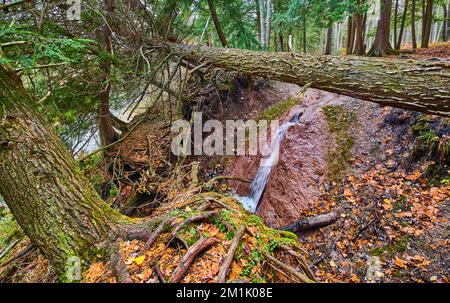 Chute d'eau sortant de l'argile entourée de feuillage d'automne et de rondins d'arbre Banque D'Images