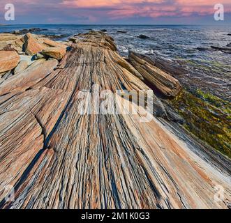 Superbes couches de feuilles rocheuses se formant sur la côte océanique du Maine avec lumière dorée au coucher du soleil Banque D'Images