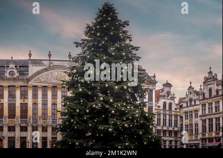 Sapin de Noël dans le centre de Bruxelles Banque D'Images