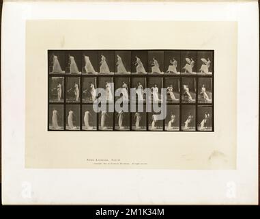 Locomotion animale. Plaque 246 , femmes, assis, ventilateurs Accessoires, locomotion humaine, une étude électro-photographique des phases consécutives de mouvements d'animaux Banque D'Images