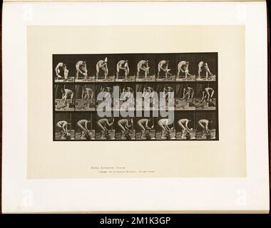 Locomotion animale. Plaque 381 , hommes, maçonnerie, locomotion humaine, une étude électro-photographique des phases consécutives de mouvements d'animaux Banque D'Images