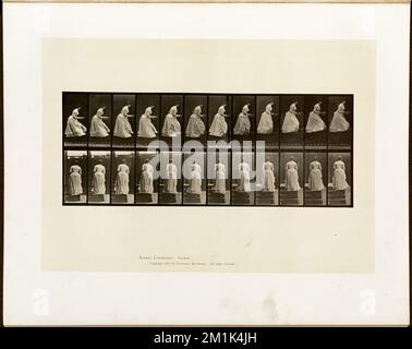 Locomotion animale. Plaque 95 , femmes, levage et transport, escaliers, locomotion humaine, une étude électro-photographique des phases consécutives de mouvements d'animaux Banque D'Images