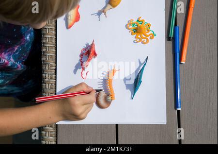 traces d'enfant avec stylo feutre ombres intéressantes provenant de figurines de jouets d'animaux du monde de l'eau le long de contour. des idées pour le développement créatif des enfants Banque D'Images