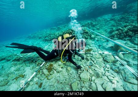 Un archéologue sous-marin aérolevant sur l'ancien port de l'âge de bronze découvert à Bozburun Marmaris Turquie. Banque D'Images