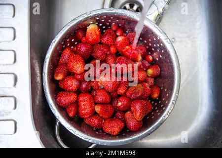Les fraises brillantes fraîchement cueillies sont lavées dans une passoire en métal dans un ancien évier. Banque D'Images