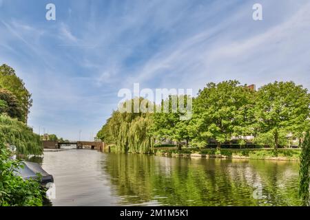une rivière avec des arbres et des bâtiments à l'arrière-plan, prise d'un bateau sur la photo de bord d'eau Banque D'Images