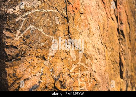 Sculptures archéologiques en roche d'animaux. Des pétroglyphes sur des pierres de gros plan Banque D'Images