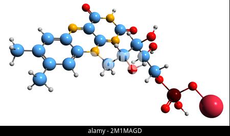 3D image de la riboflavine 5-phosphate Formule du squelette sodique - structure chimique moléculaire de la vitamine B2 isolée sur fond blanc Banque D'Images