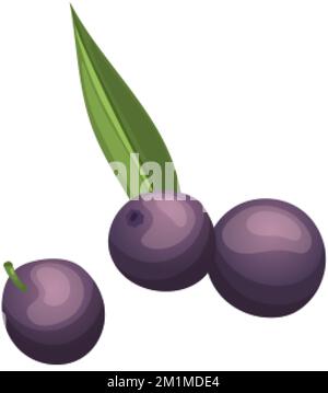 illustration vectorielle de dessin animé açai berry Illustration de Vecteur