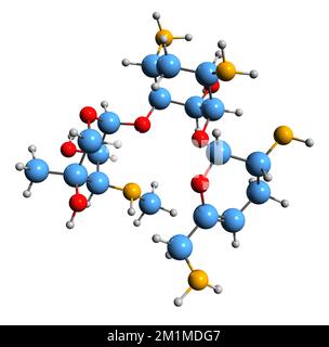 3D image de la formule squelettique de Sisomicine - structure chimique moléculaire de l'antibiotique aminoglycoside 6640 isolé sur fond blanc Banque D'Images