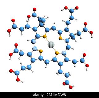 3D image de la formule squelettique de Sirohème - structure chimique moléculaire du groupe prothétique de type hémique isolé sur fond blanc Banque D'Images