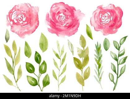 Aquarelle abstraite fleurs roses et branches vertes avec feuilles. Illustration dessinée à la main avec des roses et des plantes sur fond isolé. Dessin floral pour cartes de vœux ou invitations de mariage. Banque D'Images