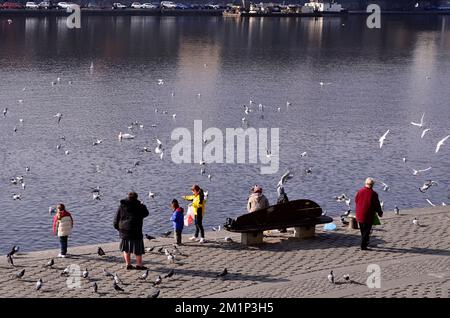 Des gens sur la rive de la Vltava, nourrissant des oiseaux à Prague en République tchèque. Banque D'Images