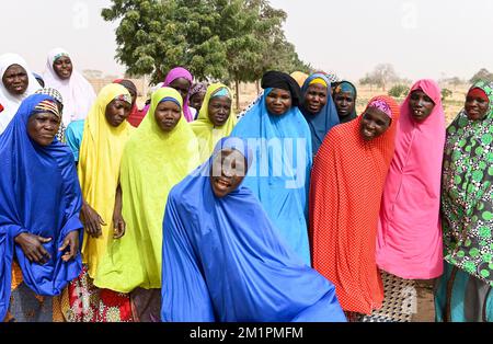 NIGER, Maradi, village Dan Bako, femmes musulmanes chantant pour visiteur bienvenue dans leur projet de jardin communautaire /Musligische Frauen singen fuer einen Besucherempfang Banque D'Images