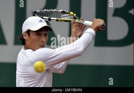 Italian Francesca Schiavone en action lors du match entre l'Italien Francesca Schiavone (WTA 50) et le Belge Kirsten Flipkens (WTA 21) lors du deuxième tour du tournoi de tennis français Roland Garros 2013, au stade Roland Garros à Paris, le vendredi 31 mai 2013. Le tournoi de tennis Roland Garros Grand Chelem se déroule du 21 mai au 09 juin 2013. BELGA PHOTO ERIC LALMAND Banque D'Images