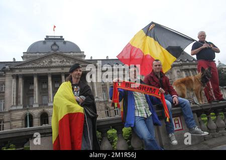 20130703 - BRUXELLES, BELGIQUE : l'illustration montre des personnes avec des drapeaux belges devant le palais royal à la Paleizenplein - place des Palais à Bruxelles, mercredi 03 juillet 2013. A 18h00 ce soir, le roi Albert II de Belgique a annoncé au peuple belge son interdiction du trône le 21 juillet. BELGA PHOTO VIRGINIE LEFOUR Banque D'Images